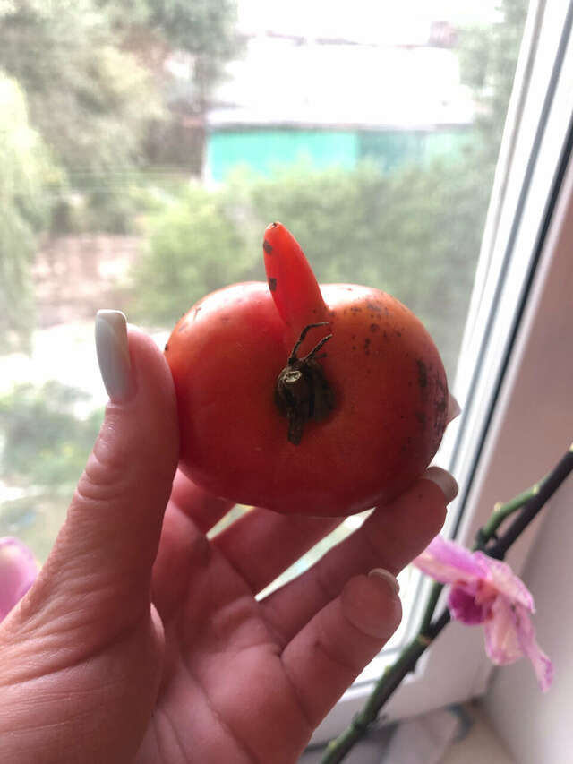 Гостиница Надежда Находка-151